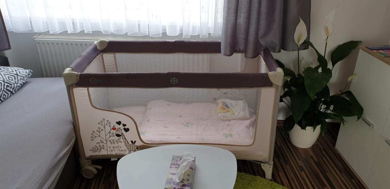 Laura'S Apartment カルロヴィ・ヴァリ エクステリア 写真